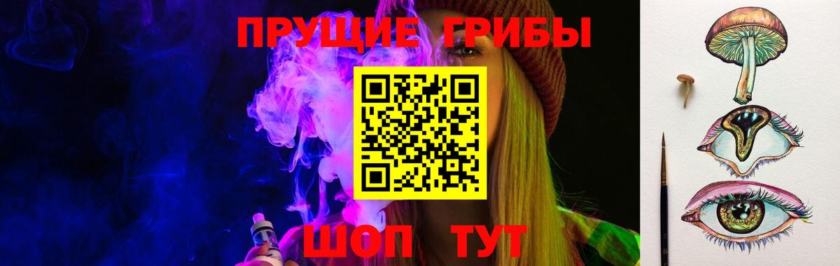 Псилоцибиновые грибы мицелий Изобильный